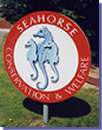 Seahorse Conservation