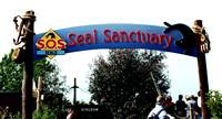 Seal Sanctuary